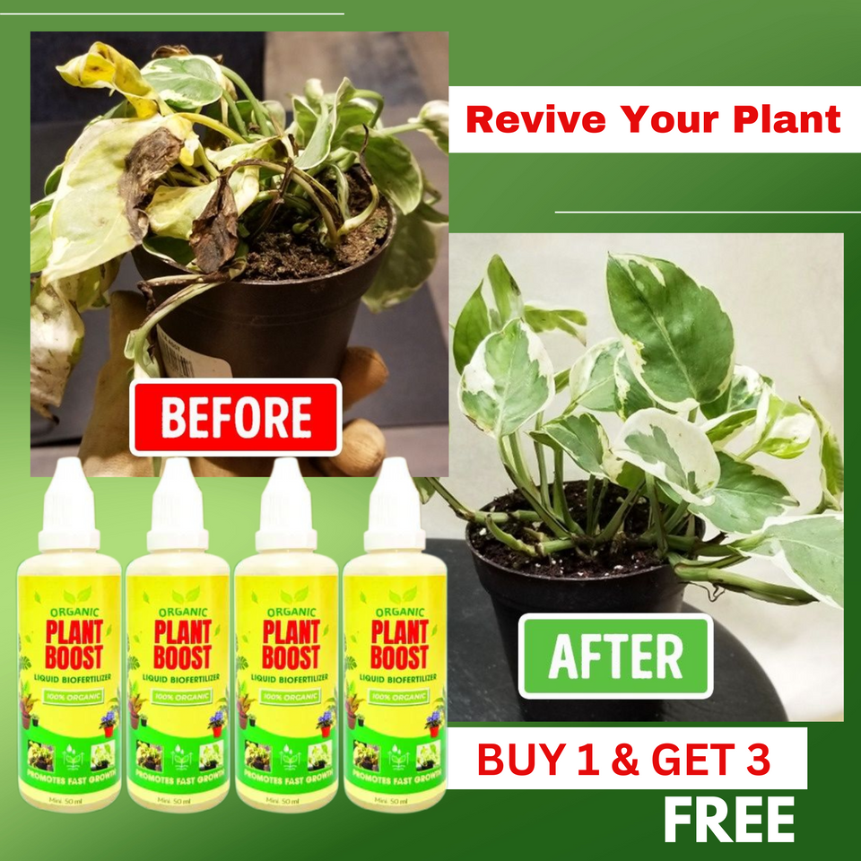 Plant Boost Liquid Biofertilizer |PACK of 4