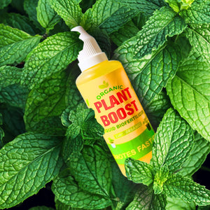 Plant Boost Liquid Biofertilizer |PACK of 4