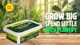 Plant Food Sticks - All Purpose Plant Nutrition | Buy 1 Get 1 FREE